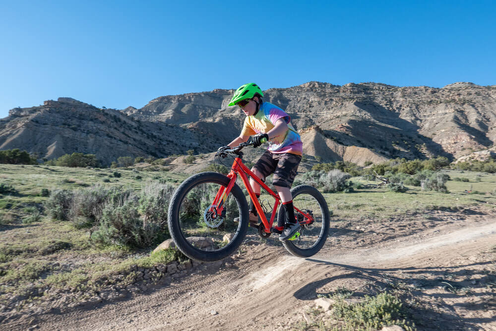 kids mountain bike brands