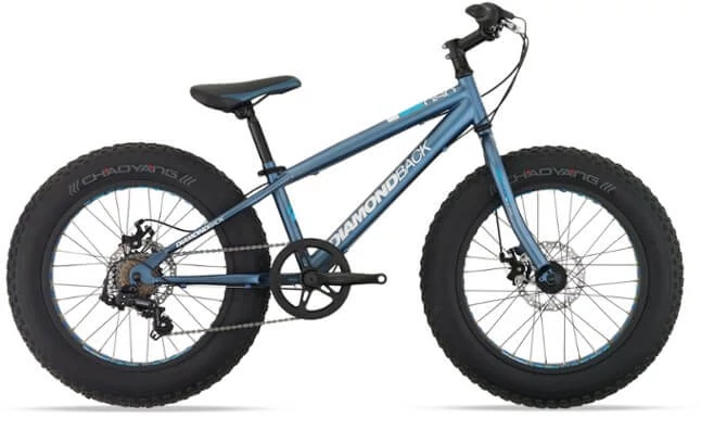 fat bike for 10 year old
