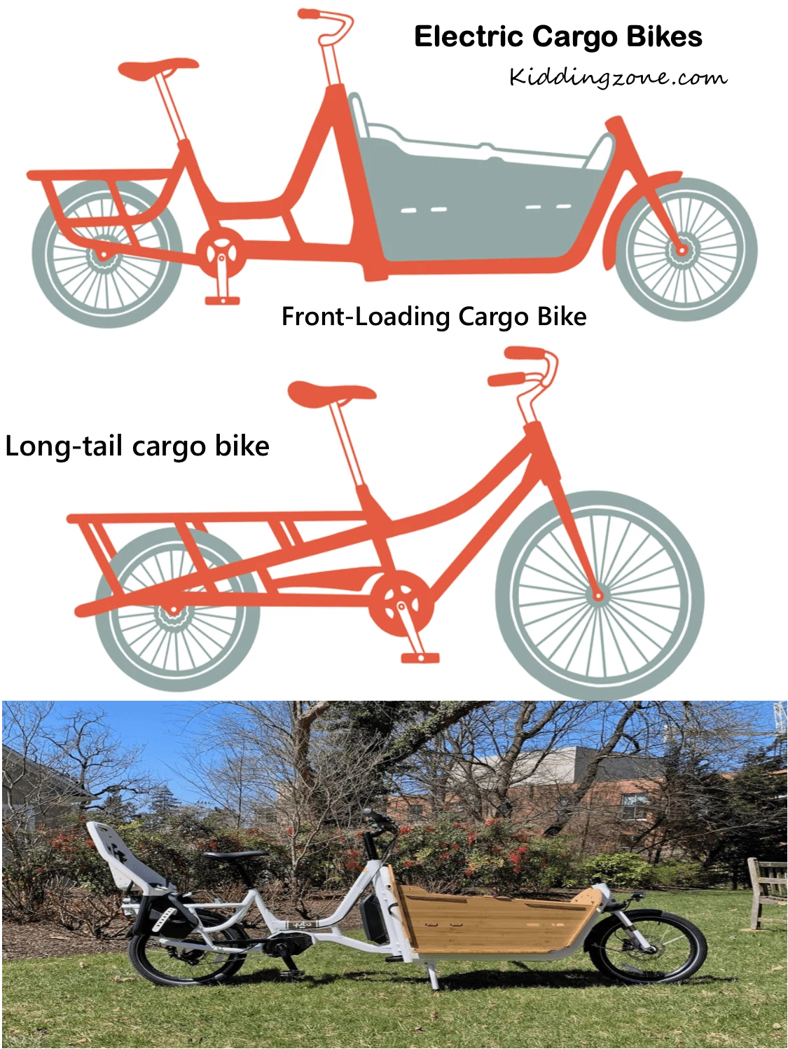 Variants of Electric Cargo Bikes