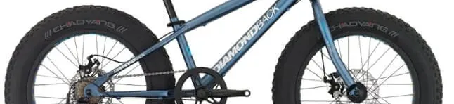 Family E-Bikes