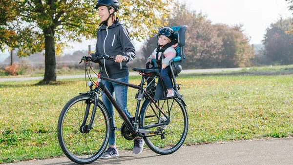 Schwinn Deluxe Bicycle Mounted Child Carrier